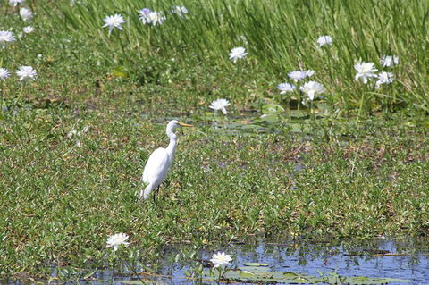 Darwin City Sights And Jumping Crocodile Cruise - Accommodation Noosa 1