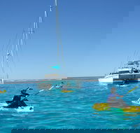 5 Night Ningaloo Reef Ningaloo Escape from Coral Bay - Accommodation Noosa