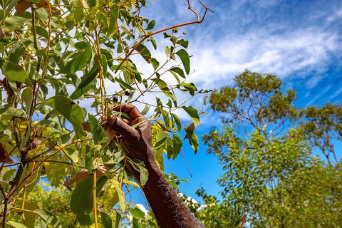 Mitchell Falls And Kimberley Coastal Camp (3night) - Accommodation Noosa 2