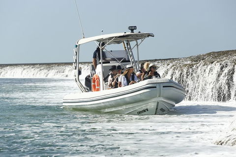 Cygnet Bay Explorer - Accommodation Noosa 8