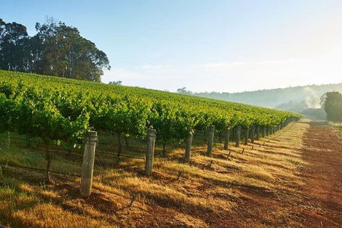 Botanical Gardens, Winery And Scenic Full Day Tour - Accommodation Noosa 2