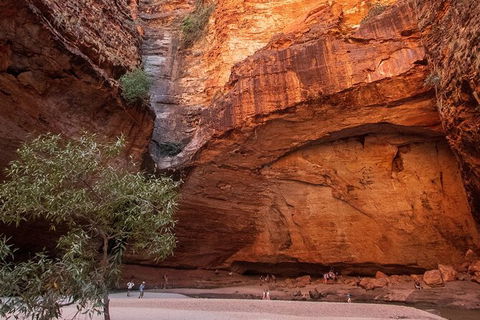 Bungles Day Trek Extended (with Echidna Chasm) - Accommodation Noosa 0