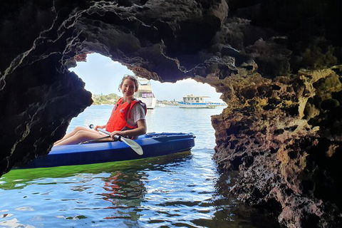 Cliffs And Caves Kayak Tour In Swan River - Accommodation Noosa 3