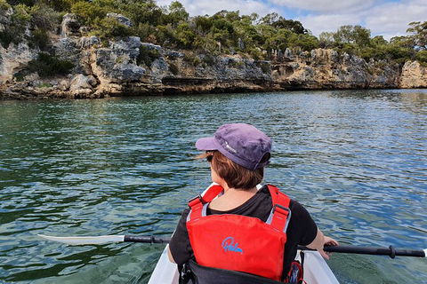 Cliffs And Caves Kayak Tour In Swan River - Accommodation Noosa 1