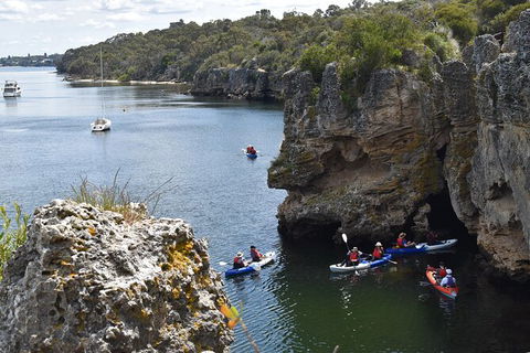 Cliffs And Caves Kayak Tour In Swan River - Accommodation Noosa 2