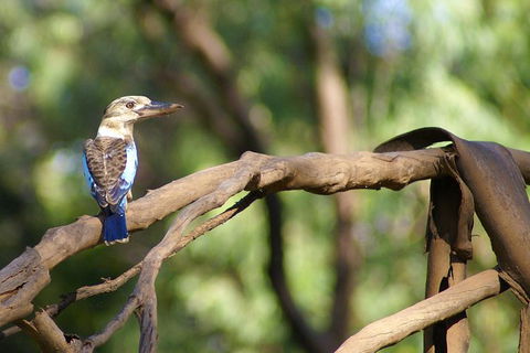 Ord River Experience With Riverside Lunch - Accommodation Noosa 1