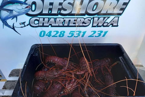 Lobster Fishing Tour At Geraldton - Accommodation Noosa 0
