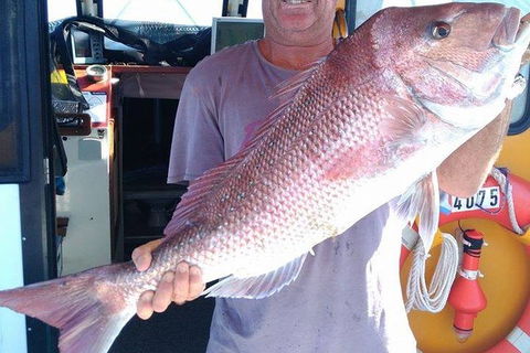 Geraldton Fishing Charter - Accommodation Noosa 10