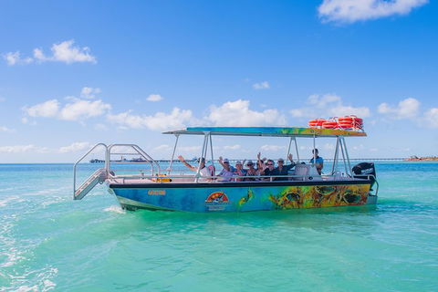 The Island Sandbar Experience - Accommodation Noosa 5