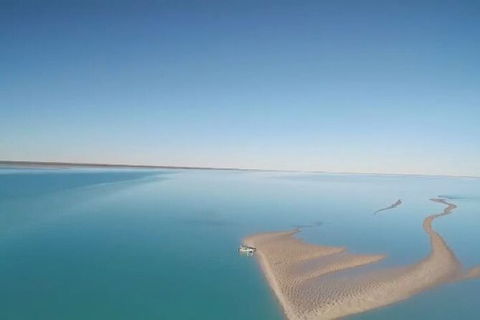 The Island Sandbar Experience - Accommodation Noosa 7