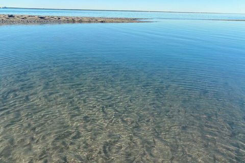 The Island Sandbar Experience - Accommodation Noosa 4
