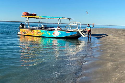 The Island Sandbar Experience - Accommodation Noosa 8