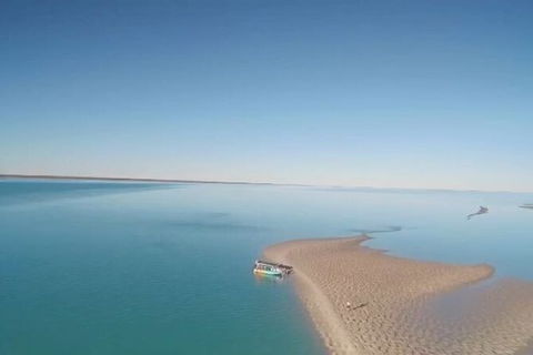 The Island Sandbar Experience - Accommodation Noosa 6