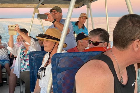 The Island Sandbar Experience - Accommodation Noosa 3