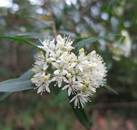 Booderee National Park - Accommodation Noosa