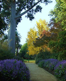Albury Botanic Garden - Accommodation Noosa 0