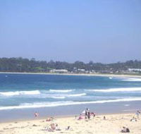 Mollymook Surf Beach - Accommodation Noosa