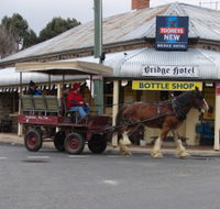 Bathurst Farm Experience - Accommodation Noosa