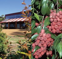 Bushfood Factory and Cafe - Accommodation Noosa