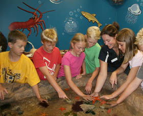 Naturaliste Marine Discovery Centre - Accommodation Noosa 0