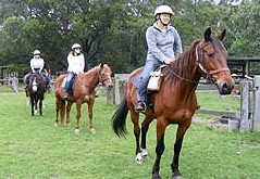 Valhalla Horse Riding - Accommodation Noosa 2