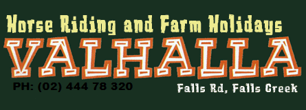 Valhalla Horse Riding - Accommodation Noosa 4