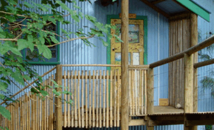 Blue Poles Gallery - Accommodation Noosa