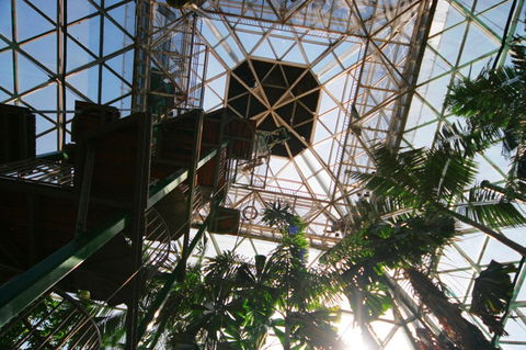 Cairns ZOOm And Wildlife Dome - Accommodation Noosa 1