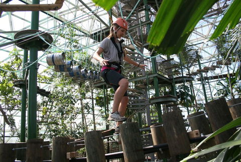 Cairns ZOOm And Wildlife Dome - Accommodation Noosa 2
