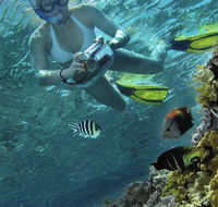Calypso Reef Charters - Accommodation Noosa