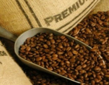 Coffee Works - Accommodation Noosa 1