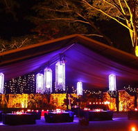 Flames Of The Forest - Accommodation Noosa