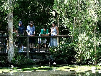 Hartley's Crocodile Adventures - Accommodation Noosa 2