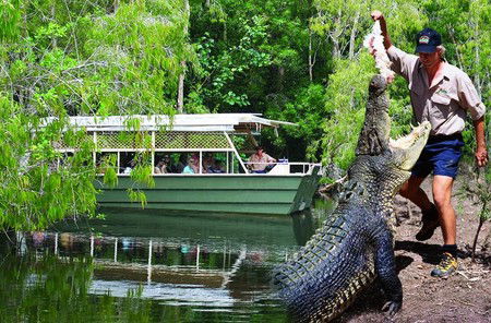 Hartley's Crocodile Adventures - Accommodation Noosa 6