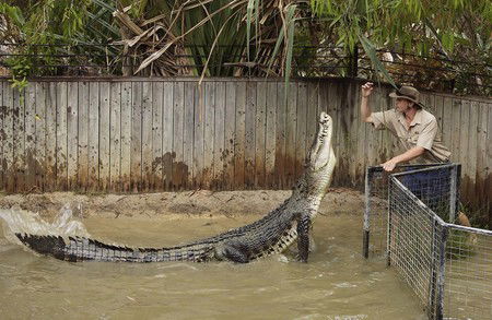 Hartley's Crocodile Adventures - Accommodation Noosa 8