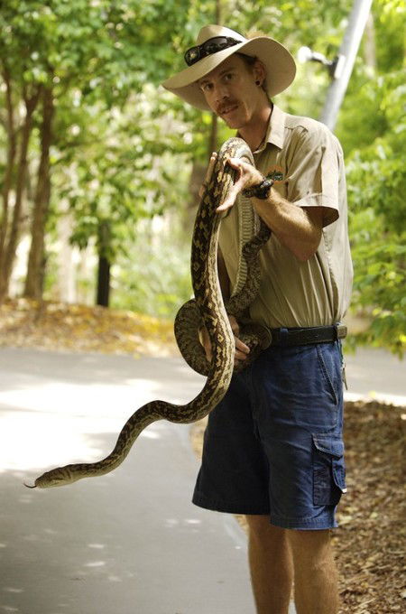 Hartley's Crocodile Adventures - Accommodation Noosa 11