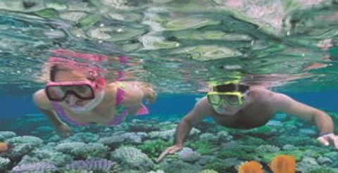 Quicksilver Cruises - Accommodation Noosa 2