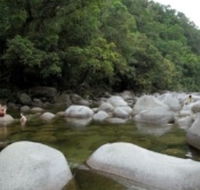 Tropical Horizons Tours - Accommodation Noosa
