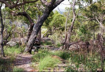 Cooktown Aboriginal Art Tours - Accommodation Noosa 2