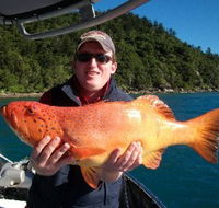 Gone Fishing by Coral Sea Fishing Charters Airlie Beach - Accommodation Noosa