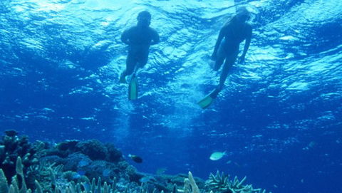 Air Whitsunday Day Tours - Accommodation Noosa 1