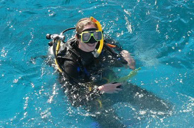 Adrenalin Snorkel And Dive - Accommodation Noosa 2