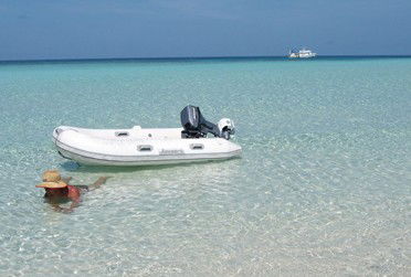 Adrenalin Snorkel And Dive - Accommodation Noosa 4