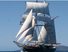 Adventure Catamarans Dive And Sail - Accommodation Noosa 0
