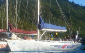 Adventure Catamarans Dive And Sail - Accommodation Noosa 2