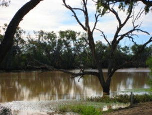 Allan Tannock Weir - Accommodation Noosa 2