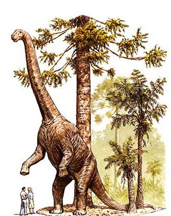 Australian Age Of Dinosaurs - Accommodation Noosa 2