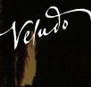 Veludo - Accommodation Noosa
