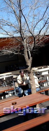 Alma Tavern - Accommodation Noosa 2
