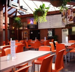 Coopers Alehouse At The Earl - Accommodation Noosa 3